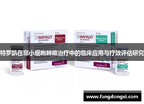 特罗凯在非小细胞肺癌治疗中的临床应用与疗效评估研究